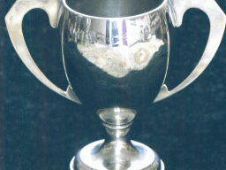 Selston Show Cup - Awaiting committee allocation